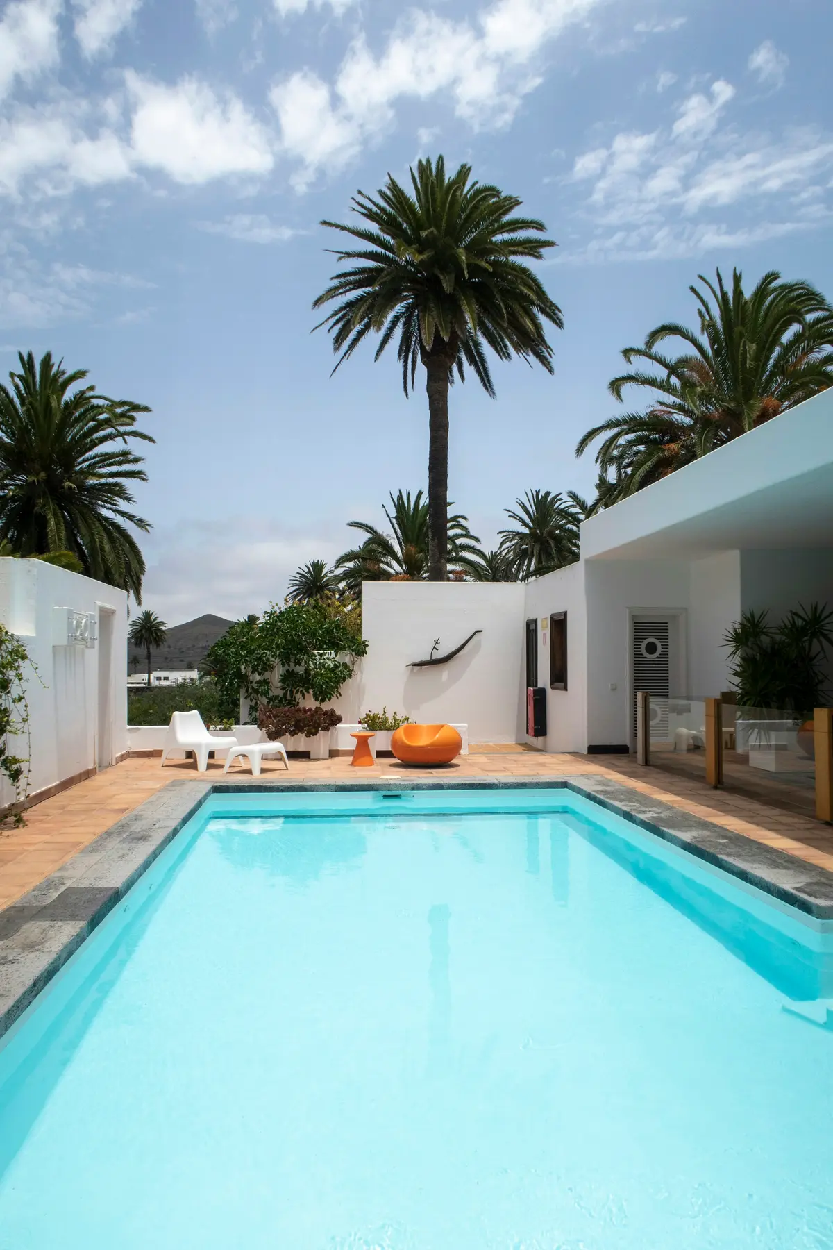 A long pool beside a white wall and palms