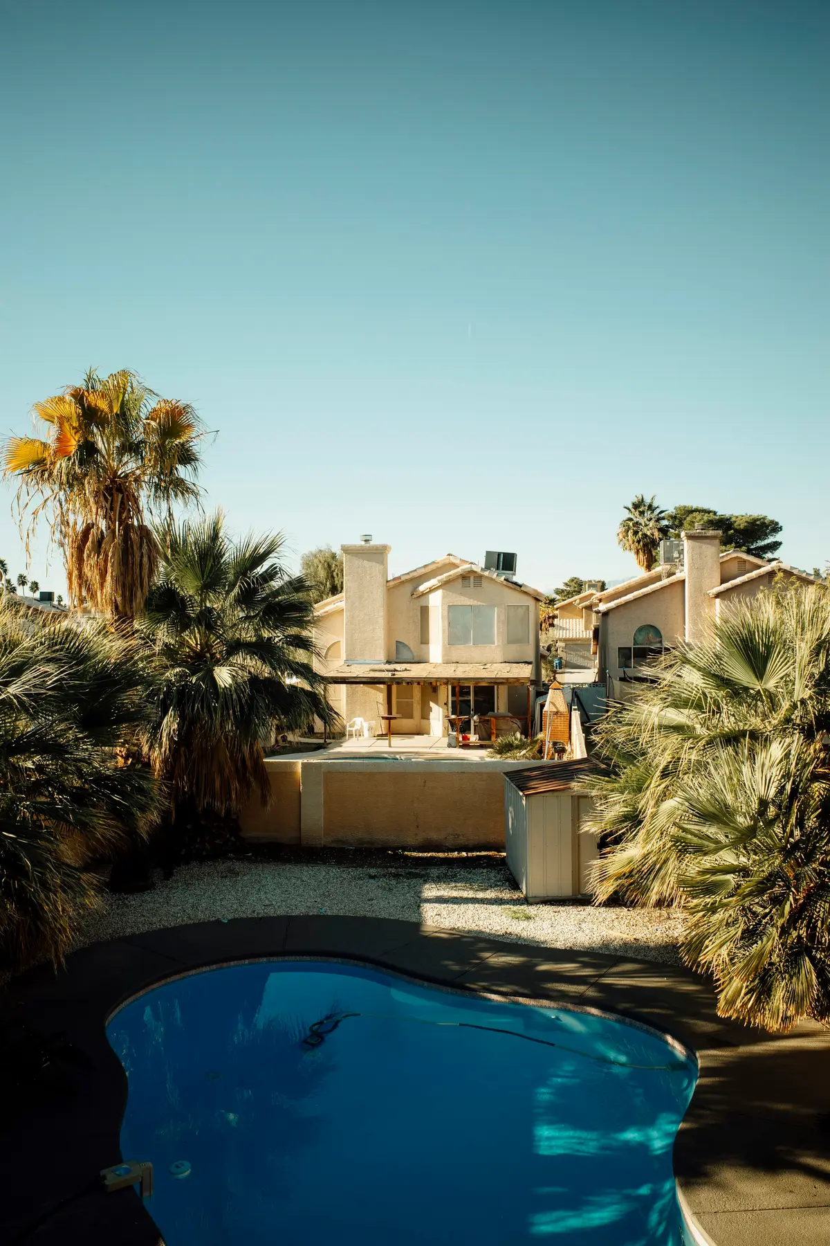 A small pool on a hillside terrace with palms