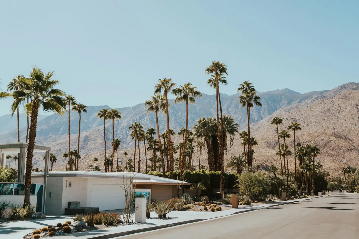 A low mid-century house under palms with the mountains behind