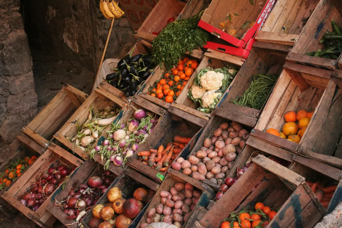 Wooden crates full of potatoes, carrots, onions and greens