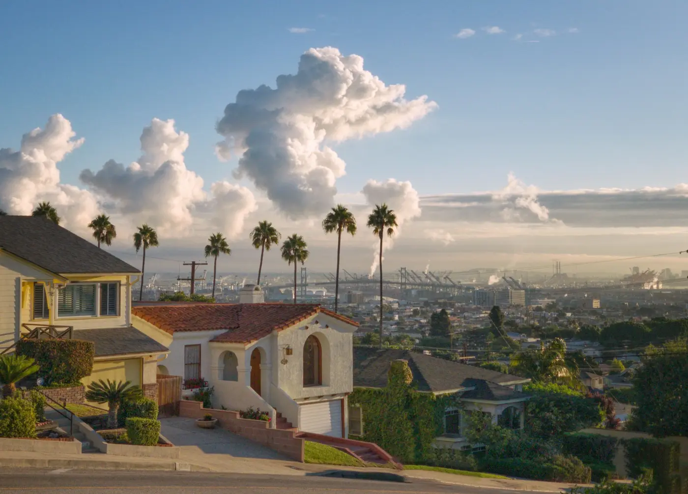 Houses on a hillside street with palm trees and the city in the distance