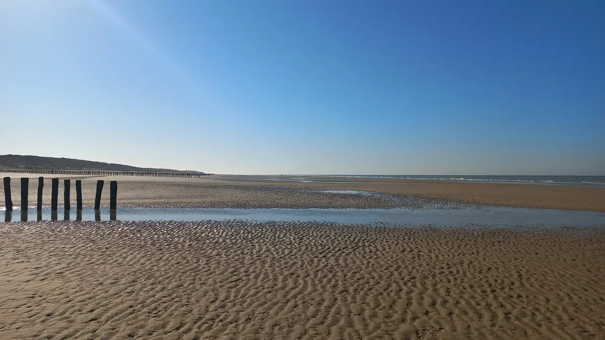 A wide sandy beach at low tide with old wooden posts