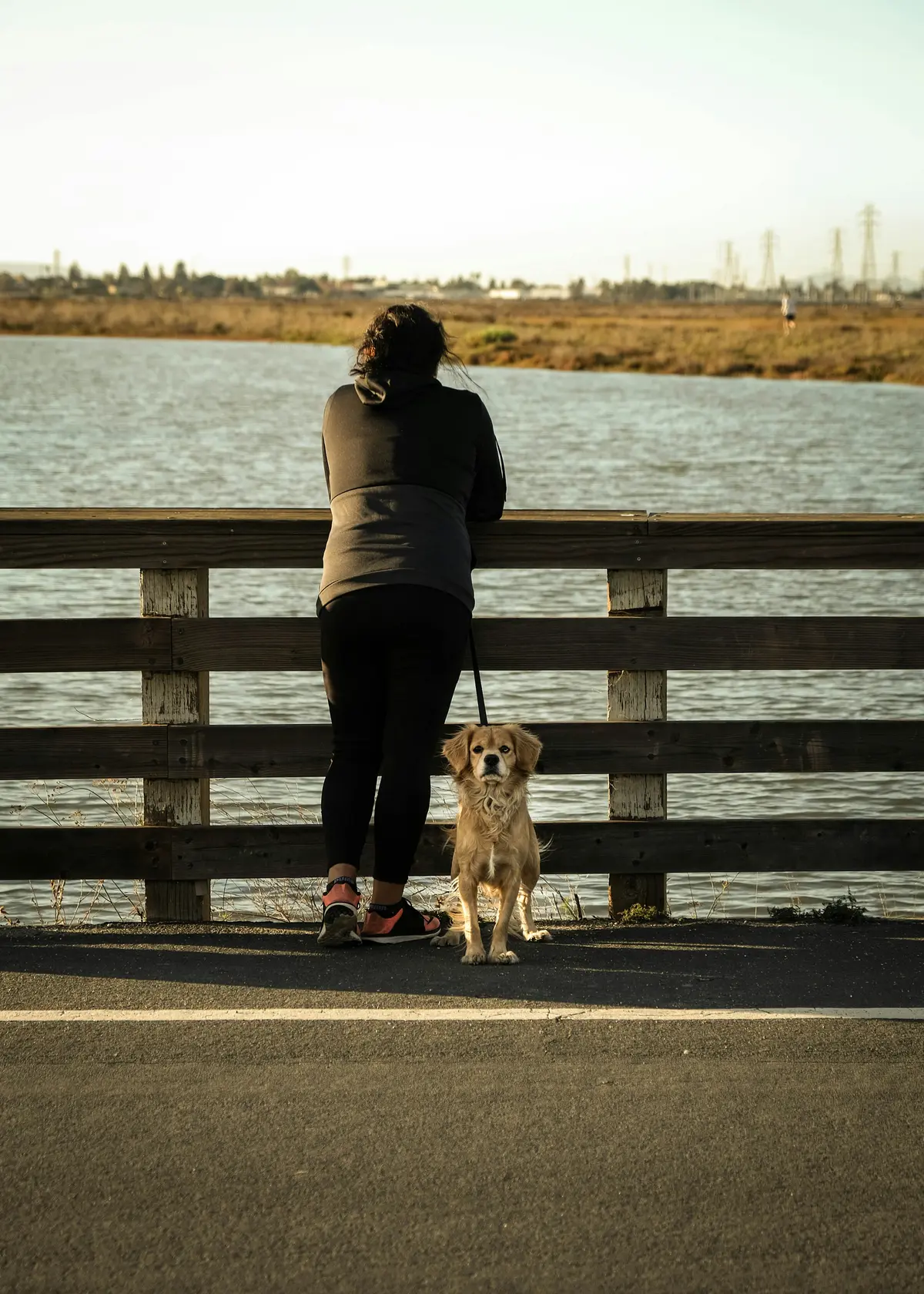 A person and a golden retriever looking out over a lake from a pier