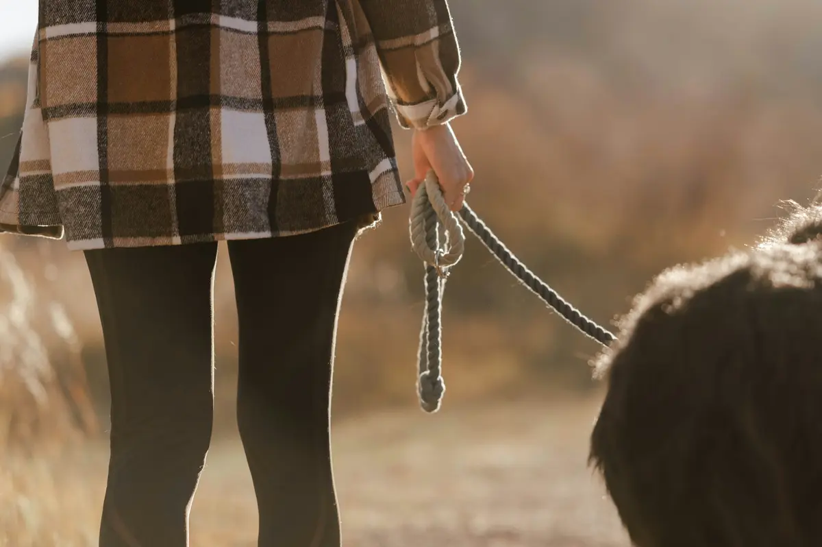 A leash in a person’s hand on an autumn walk
