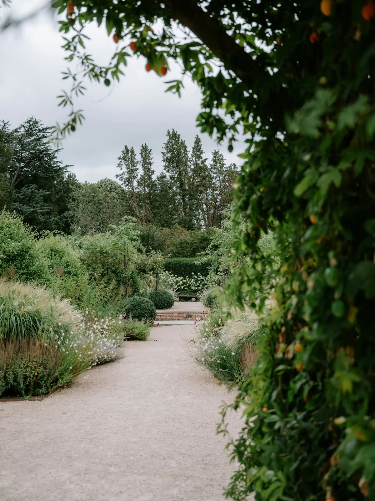 A gravel path through a garden of low shrubs and trees