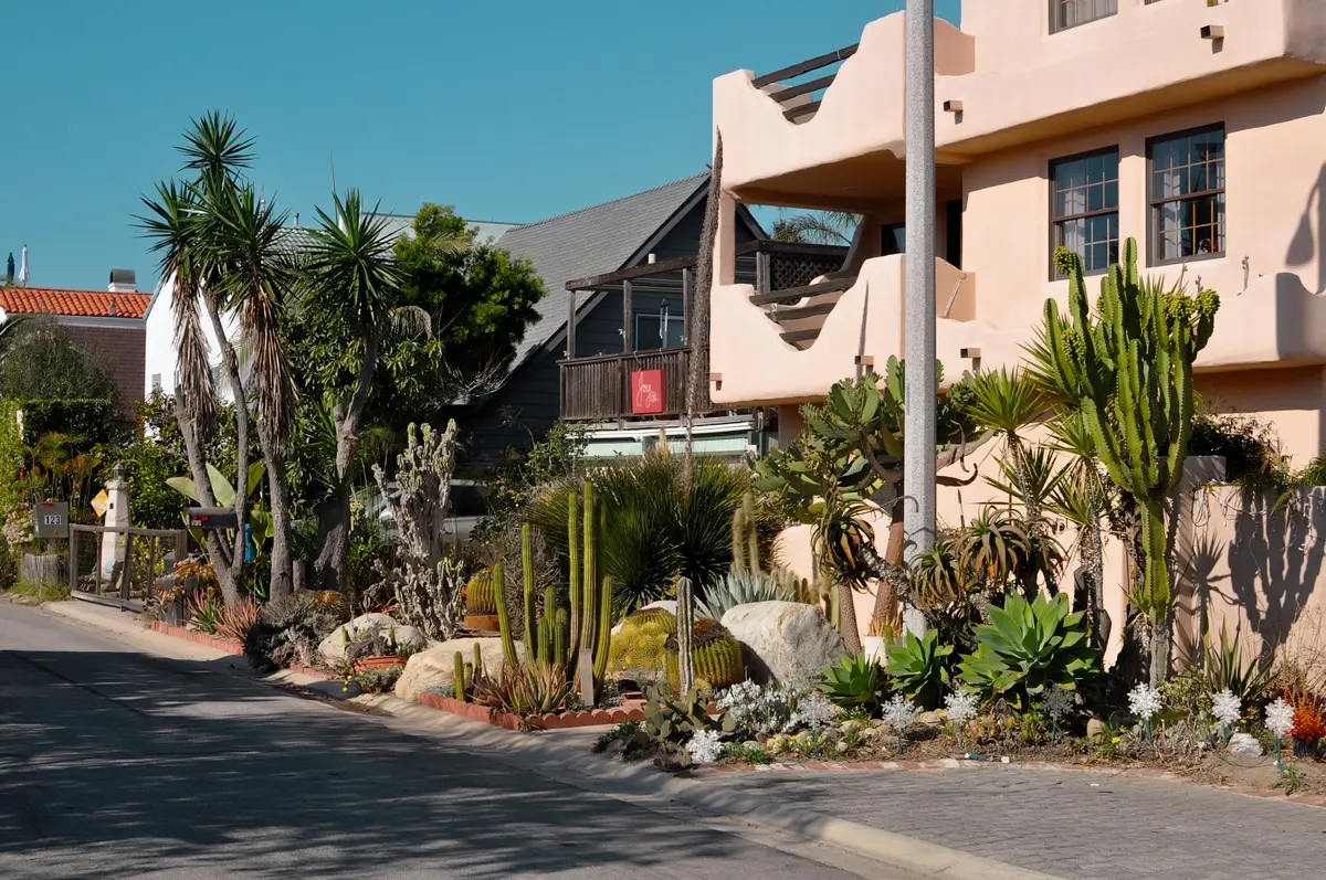 A front garden of agaves, cactus and palms along a sidewalk in front of a pink building