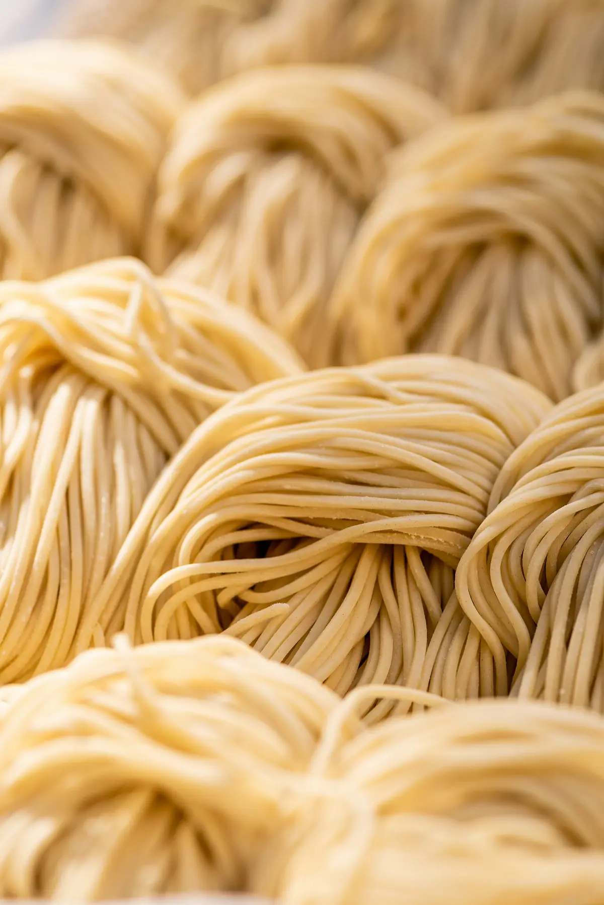 Fresh wavy ramen noodles in loose bundles