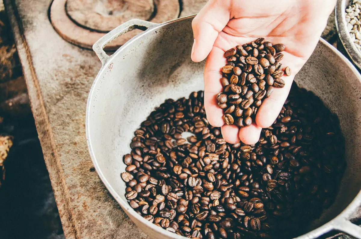 A hand holding roasted coffee beans over a bowl of beans
