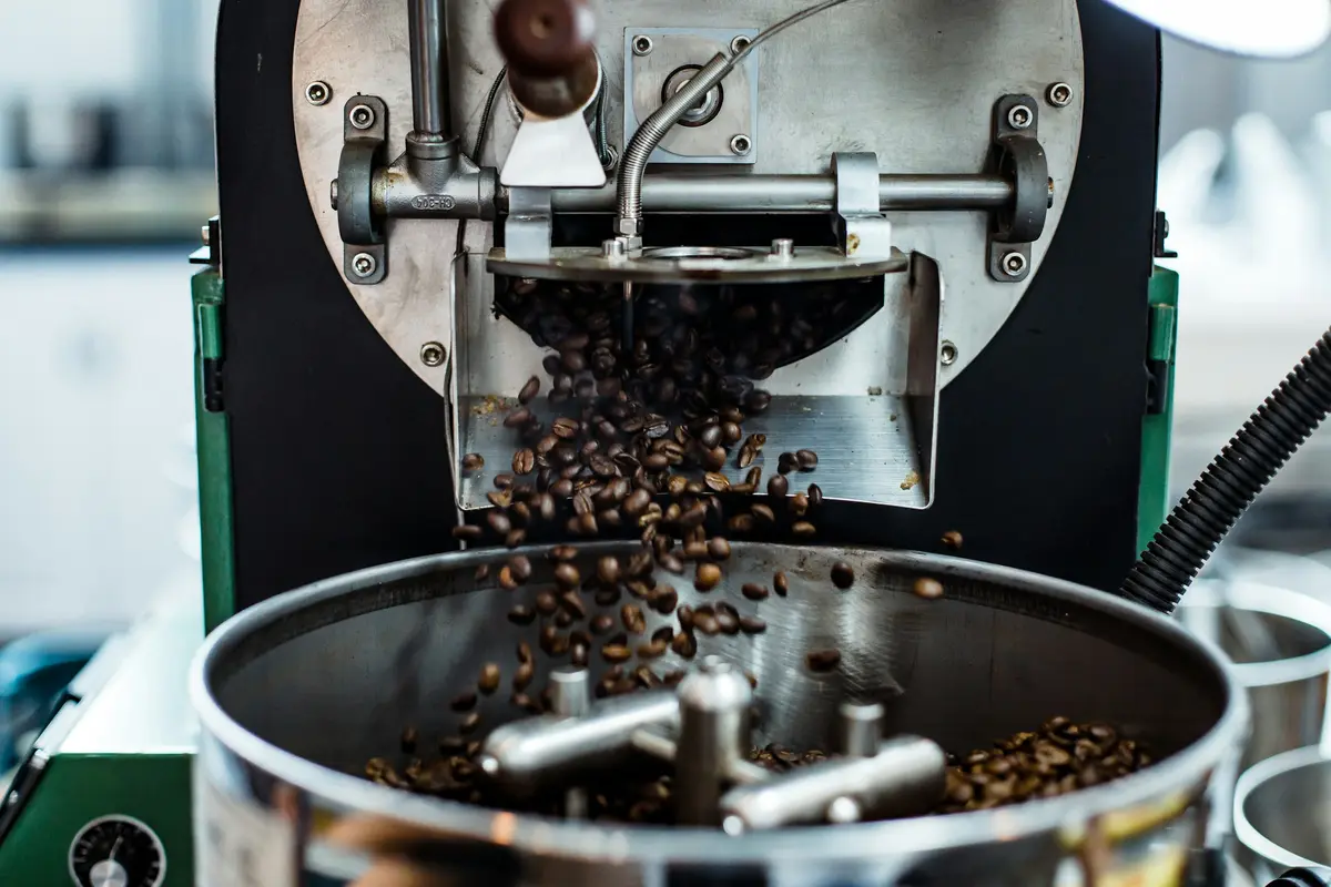 Roasted beans pouring from the drum into the cooling tray