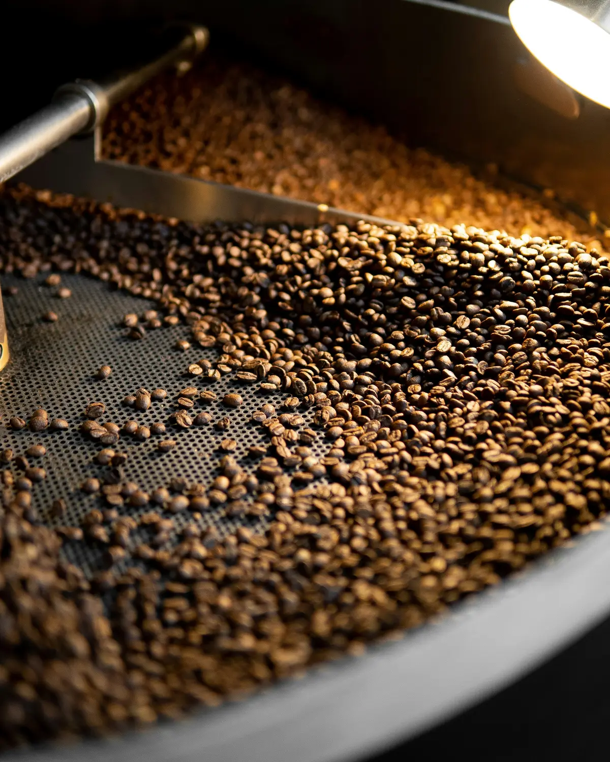 Beans turning in a roaster’s cooling tray under warm light